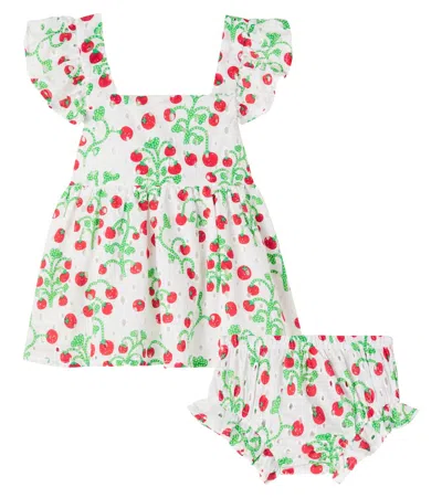 Fabula Baby Printed Cotton Dress And Bloomers Set In Multi