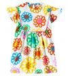 Fabula Floral Cotton Dress In Multicolor