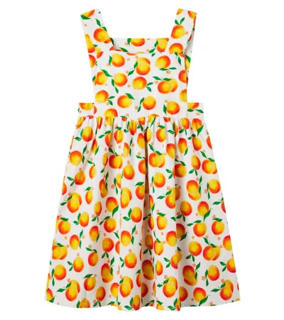 Fabula Kids' Fábula Laranjinhas Printed Cotton Dress In Multi
