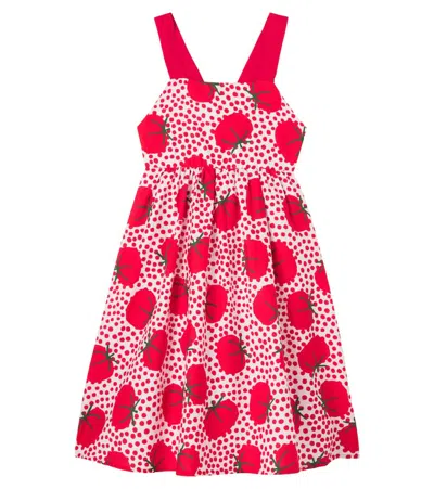 Fabula Kids' Fábula Printed Cotton Dress In Burgundy