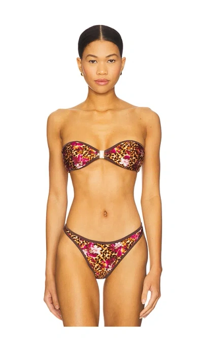 Fae Tallara Bikini Top In Burgundy