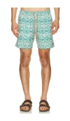 Faherty All Day Trunks 6 Biscayne Leafy Vine In Multi