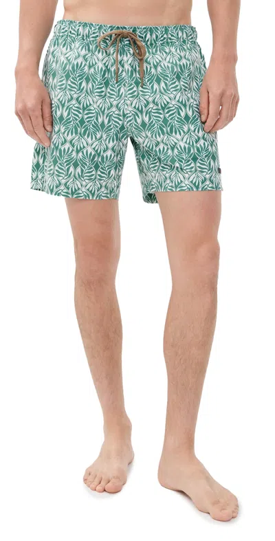 All Day Trunks 6 Biscayne Leafy Vine In Multi from Faherty