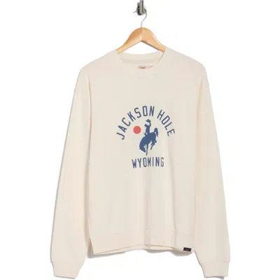 Faherty Jackson Hole Graphic Sweatshirt In Neutral