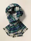 Faherty Scarf In Leary Plaid