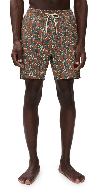 Faherty Shorelite Trunks 7 Desert Night Leaf In Brown