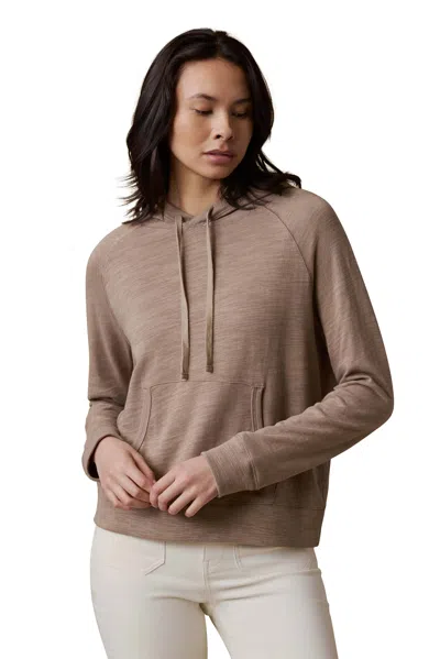 Faherty Sunwashed Organic Hoodie In Brown