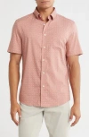 Faherty Playa Short Sleeve Stretch Organic Cotton Button-down Shirt In Pink