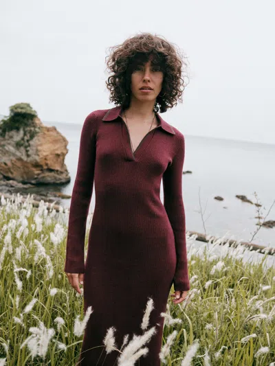 Faherty Throwback Sweater Dress In Burgundy