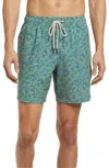 Fair Harbor The Bayberry Swim Trunks In Multi