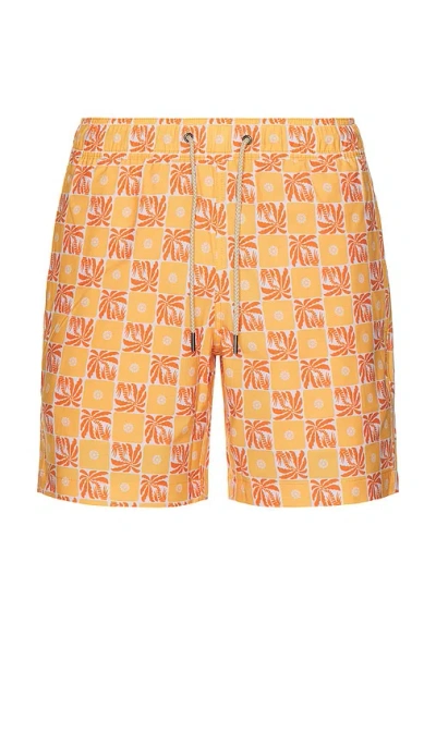 Fair Harbor Bayberry Water Repellent Swim Trunks In Brown