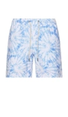 Fair Harbor Bayberry Trunk