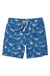 Fair Harbor Kids' Anchor Print Water Repellent Swim Trunks In Blue