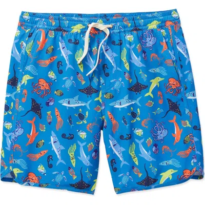 Fair Harbor Kids' Anchor Print Water Repellent Swim Trunks In Blue