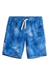 Fair Harbor Little Boy's & Boy's Printed Anchor Shorts In Clark Blue