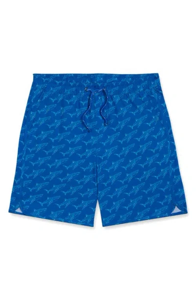 Fair Harbor Kids' The Anchor Tropical Print Water Repellent Swim Trunks In Blue