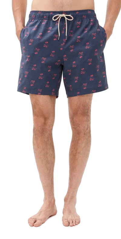 Fair Harbor X Foot Joy Bayberry Swim Trunks 7 Island Ace In Blue