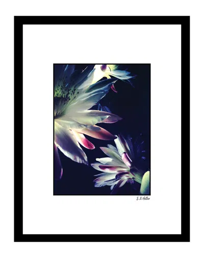 Fairchild Blossoms Floral Wall Art By Steven A. Heller