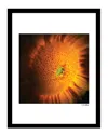 Fairchild Blossoms Floral Wall Art By Steven A. Heller