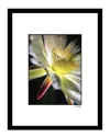 Fairchild Blossoms Floral Wall Art By Steven A. Heller