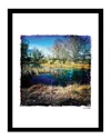 Fairchild Desert Pond Wall Art By Steven A. Heller