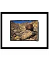 Fairchild Desert Rocks Wall Art By Steven A. Heller