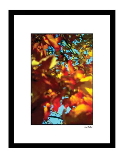 Fairchild Fall Leaves Wall Art By Steven A. Heller