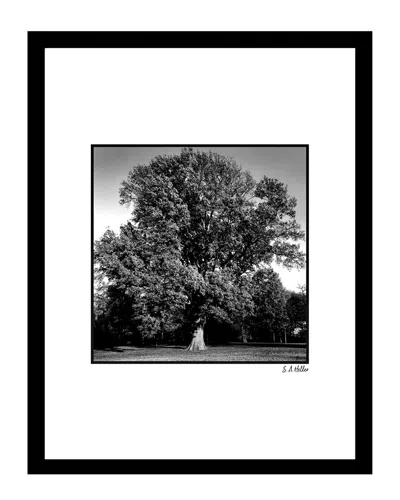 FAIRCHILD MASSIVE TREE WALL ART BY STEVEN A. HELLER