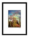 Fairchild Venice Beach Collections Heller Photography Nature In The Clouds Wall Art By Steven A. Heller