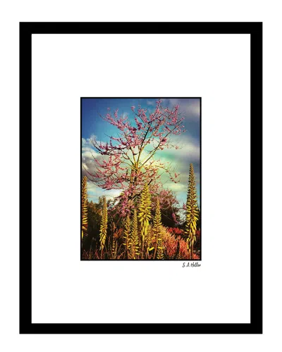 FAIRCHILD NATURE IN THE CLOUDS WALL ART BY STEVEN A. HELLER