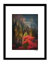 Fairchild Natures Beauty Wall Art By Steven A. Heller