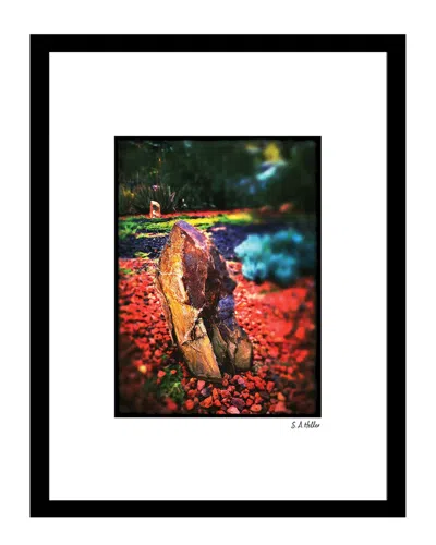 Fairchild Natures Beauty Wall Art By Steven A. Heller