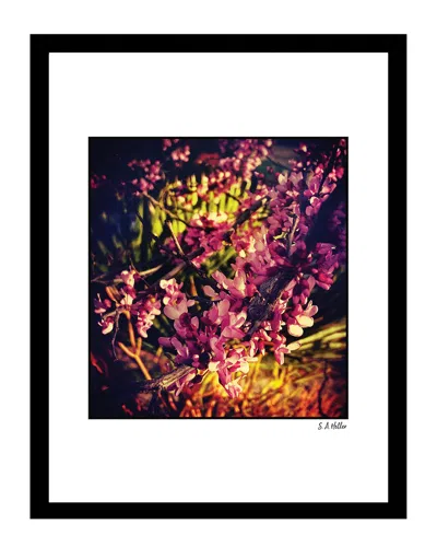 Fairchild Natures Blossoms Wall Art By Steven A. Heller