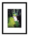 Fairchild Natures Green Wall Art By Steven A. Heller