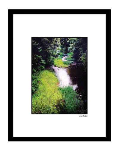 FAIRCHILD NATURES GREEN WALL ART BY STEVEN A. HELLER