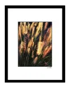Fairchild Wispy Nature Wall Art By Steven A. Heller