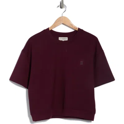 Faith Connexion Short Sleeve Scuba T-shirt In Brown