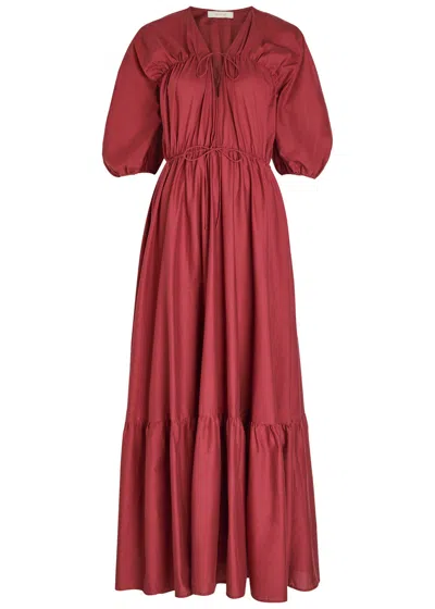 Faithfull The Brand Sigrid Drawstring Cotton Maxi Dress In Animal Print