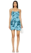 Faithfull The Brand X Revolve Lea Mini Dress In Blue Floral