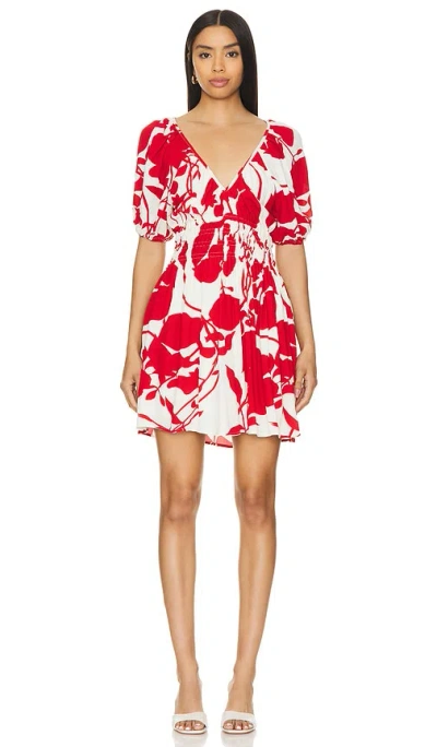 Faithfull The Brand X Revolve Salone Mini Dress In Red Floral