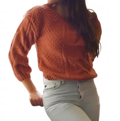 Falcon Park Devyn Sweater In Rust In Brown