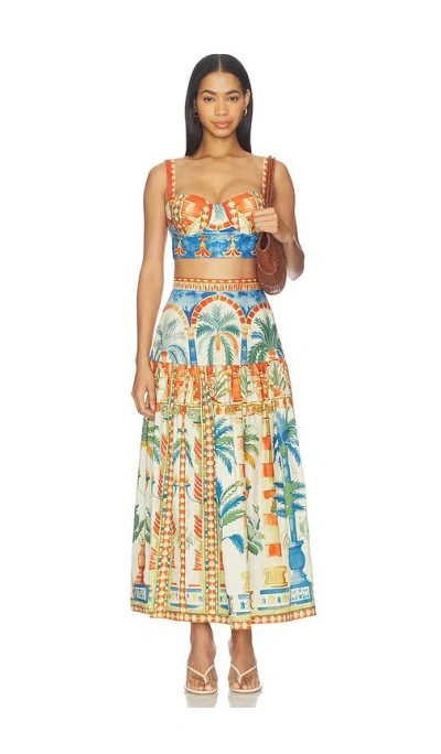 Falguni Shane Peacock Terracotta Oasis Cotton Poplin Coord Set In Animal Print