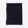 Faliero Sarti Adriel Cashmere Scarf In Blue