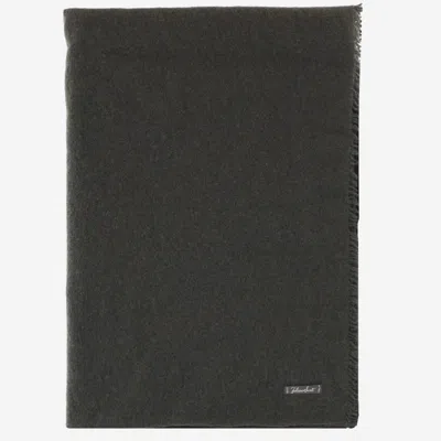 Faliero Sarti Adriel Cashmere Scarf In Gray