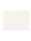 Faliero Sarti Dianora Scarf In White Cashmere With Fringes In Beige