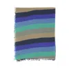 Faliero Sarti Striped Frayed-edge Scarf In Blue