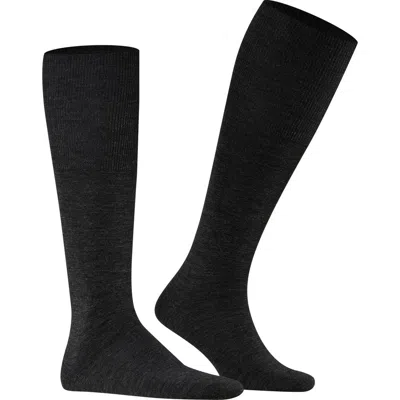 Falke Airport Knee High Socks In Anthracite