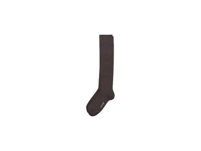 Falke Cotton Touch Knee-high Socks Women Women's Crew Cut Socks Shoes Dark Brown: Eu 39-42 (us Women's 8-1