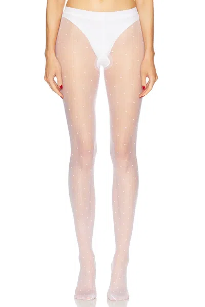 FALKE DOT TIGHT