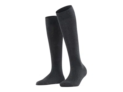 Falke Family Cotton Knee High Women's Crew Cut Socks Shoes Anthracite: Eu 39-42 (us Women's 8-10.5) In Brown